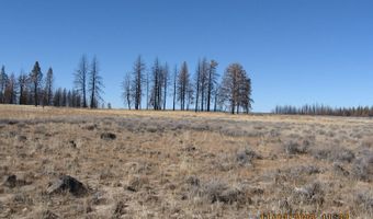 Lot 14N White Oak Lane, Bly, OR 97622