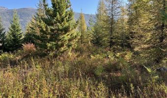 Tract 6 USFS 2294, Clark Fork, ID 83811