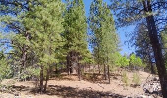 1430 W Elk Ridge Dr, Alton, UT 84710