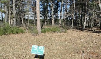 Lot 15 Fly Rod Trail, Wisconsin Rapids, WI 54494