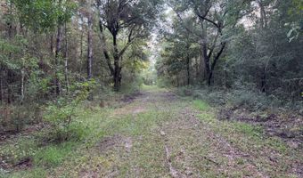 Lower Bay Road, Bay St. Louis, MS 39520