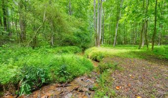 341 Blackberry Trl, Ball Ground, GA 30107