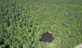 0 Five Notch Rd, Bradley, SC 29848