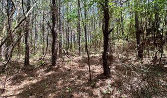 2316 Traci Loop, Bogue Chitto, MS 39629