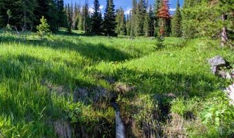 Tbd Ciel Drive Lot 1, Big Sky, MT 59716