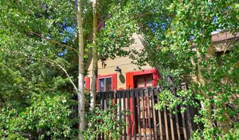 1155 COUNTY ROAD 6, Alma, CO 80420