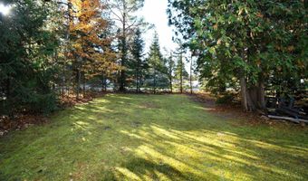 8990 PARK Ave, Alanson, MI 49706