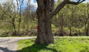 47691 E Captina Highway Rd, Alledonia, OH 43902