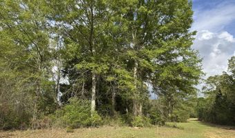 1311 A N Jackson St, Brookhaven, MS 39601