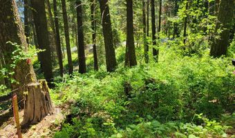 671 W Mountain Rd, Cascade, ID 83611