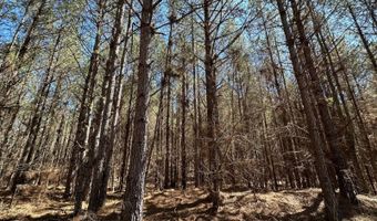3 County Road 5112, Ethel, MS 38829