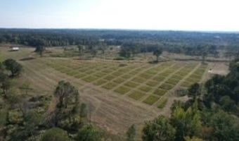 447 CR 215, Abbeville, MS 38601