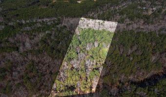 15045 LOCK 17 Rd Lot 1, Adger, AL 35006
