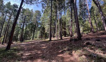 646 Dean Way, Arnold, CA 95223