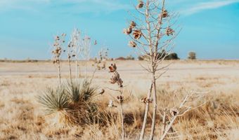 Lot 9 Desert Willow Estates, Artesia, NM 88210