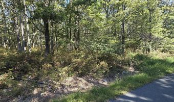 Ute Trail, Albrightsville, PA 18210