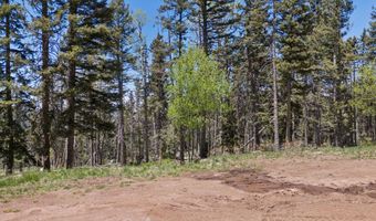 Lot 1267 Starlight Overlook, Angel Fire, NM 87710