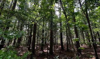 40 Acres S Sardis - Lot C Rd, Bauxite, AR 72011