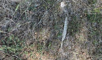 Bolivar Road, Benoit, MS 38725