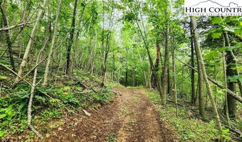 Tbd Teaster Valley Lane, Banner Elk, NC 28604