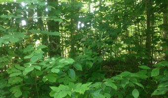 72-2 Frohock Brook Rd, Alton, NH 03810