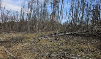 295 Shellstone Rd, Amsterdam, NY 12010