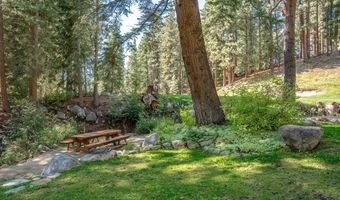 951 Divot Ct, Incline Village, NV 89451