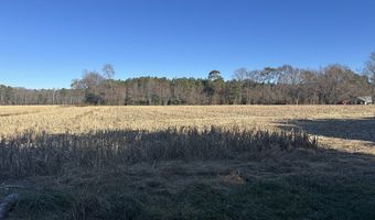 0 Bivalve Lodge Rd, Bivalve, MD 21814