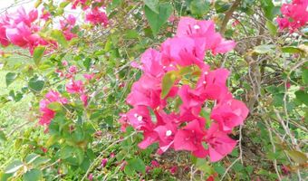 11739 SW LEMON Ave, Arcadia, FL 34269