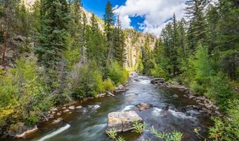 11336 County Road 742, Almont, CO 81210
