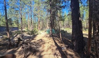 Smith Drive lot 5, Beatty, OR 97621