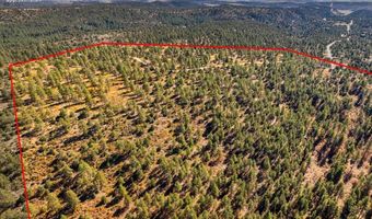 Lot 3 Foxfire Ranch, Bayfield, CO 81122