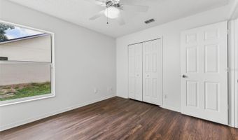 294 LAKE DOE Blvd, Apopka, FL 32703