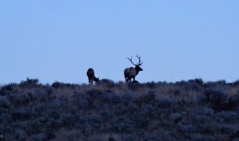 3730 Bully Creek Rd, Westfall, OR 97920