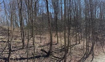 Lot # 70 Tall Tree Lane, Banner Elk, NC 28604