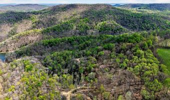 61 AC Hidden Cove Ln, Allons, TN 38541