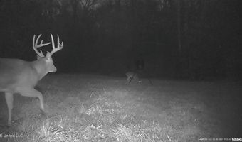 001 Farr Rd, Bolton, MS 39041