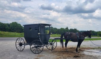 4775 S 50th Rd, Aldrich, MO 65601