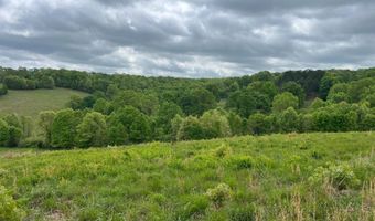 Co Rd 321 Route 5, Ava, MO 65608