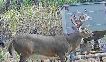 1299 E US HWY 160, Argonia, KS 67004