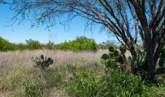 FM 735, Alice, TX 78332