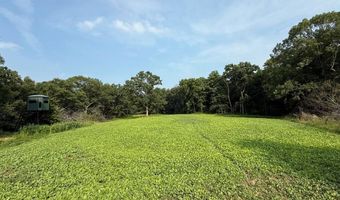 1537 270th St, Argyle, IA 52619