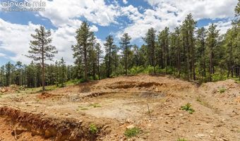 8719 Ponderosa Pine Dr, Beulah, CO 81023