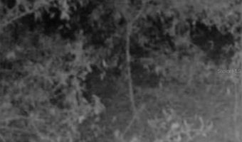 4814 NW 244 Ave, Alachua, FL 32615