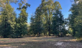 7958 NW County Rd 274, Altha, FL 32421