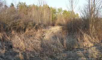 V/L Fawn Path Parcel A, Allegan, MI 49010