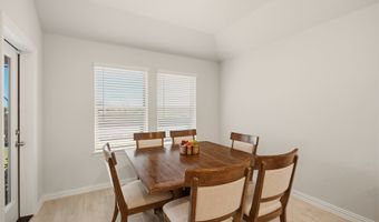 500 Thorn Creek Dr, Anna, TX 75409
