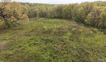 0 County Road 261, Advance, MO 63730