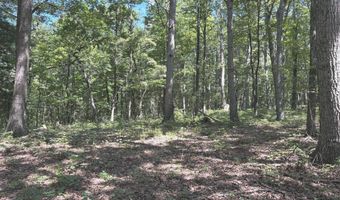 5 05 AC HOY Rd, Augusta, WV 26704