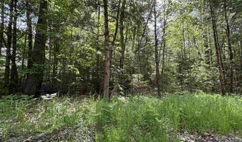 37446 N Shore/Washington Dr, Barnstead, NH 03225